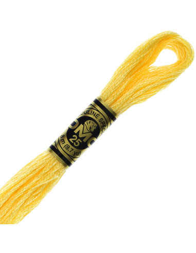 DMC Embroidery Thread Floss