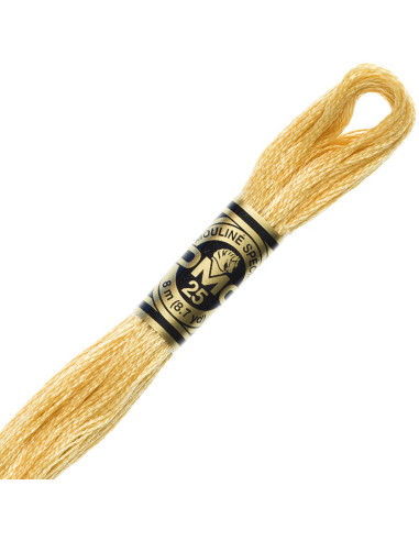 DMC Embroidery Thread Floss