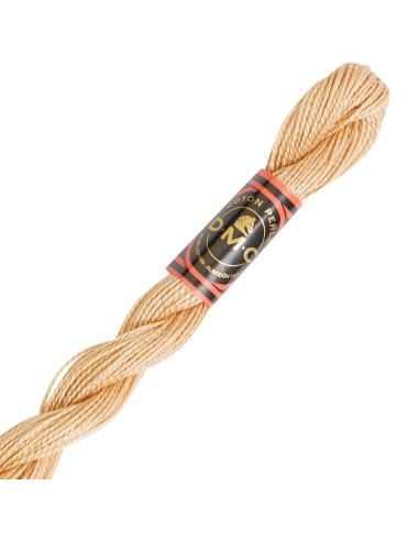 DMC Pearl Cotton Skein 8