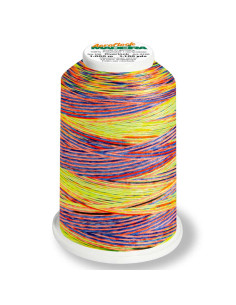 Madeira Aeroflock Multicolor Foam Thread Cone 1000 m 2