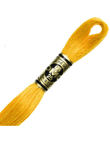DMC Embroidery Thread Floss