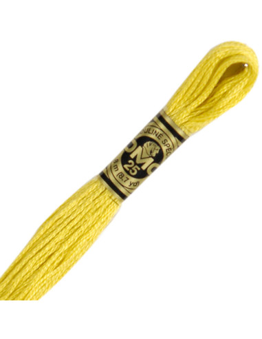 DMC Embroidery Thread Floss