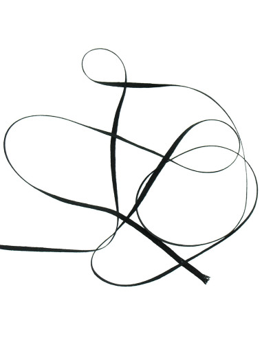 Bolduc for patronage - Black