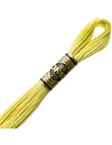 DMC Embroidery Thread Floss