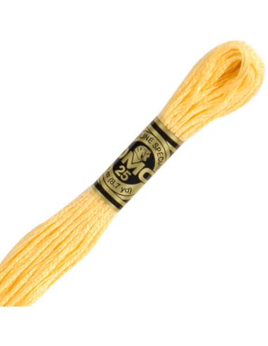 DMC Embroidery Thread Floss