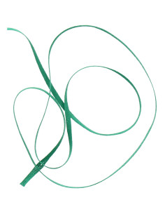 Bolduc for patronage - Green