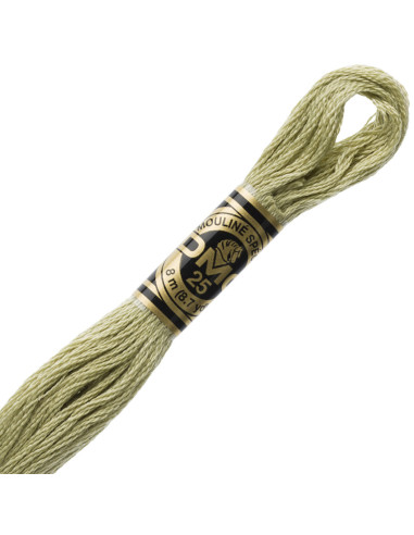 DMC Embroidery Thread Floss