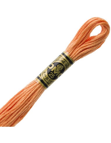 DMC Embroidery Thread Floss