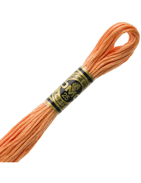 DMC Embroidery Thread Floss