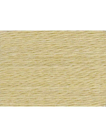 DMC Eco Vita 360 organic wool yarn