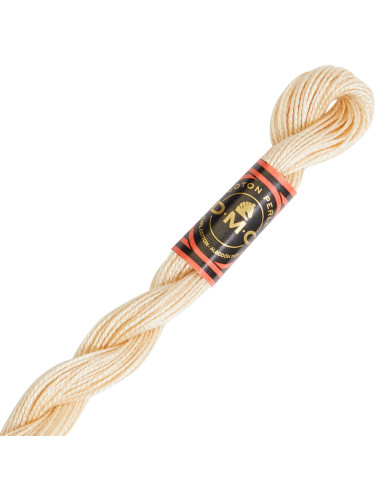 DMC Pearl Cotton Skein 8