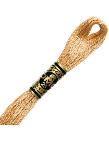 DMC Embroidery Thread Floss