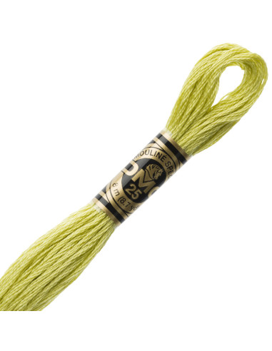 DMC Embroidery Thread Floss