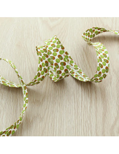 Kiwi fruit bias 2