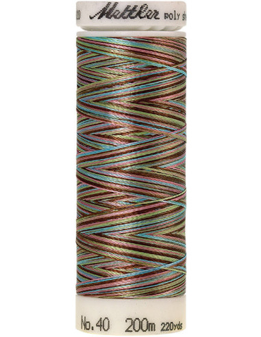 Fil à broder Poly sheen multicolor Mettler