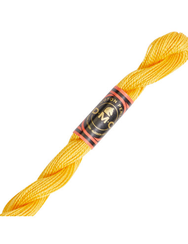 DMC Pearl Cotton Skein 8