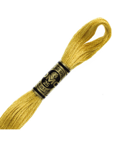 DMC Embroidery Thread Floss