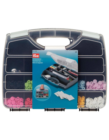 Multi-compartment storage box with removable compartments