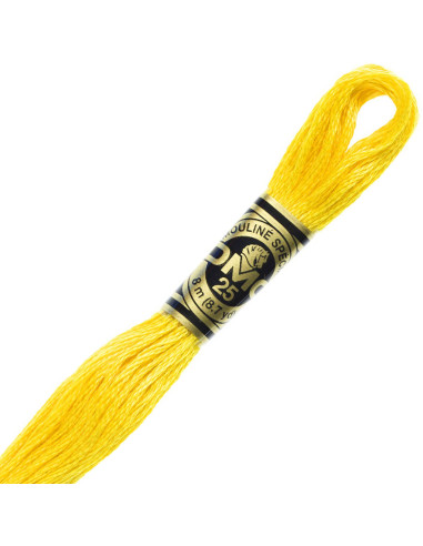 DMC Embroidery Thread Floss