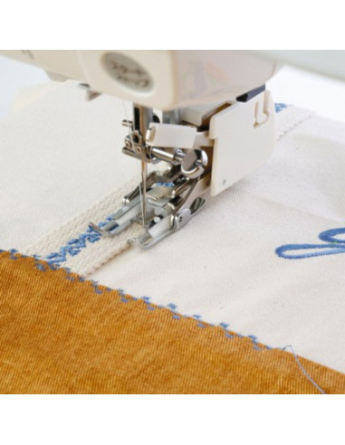 Janome dual feed foot