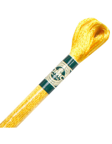 DMC Satin Embroidery Thread