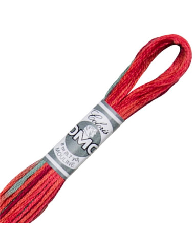 DMC Coloris Embroidery Thread
