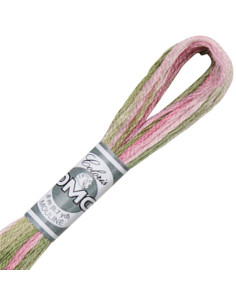 DMC Coloris Embroidery Thread 2