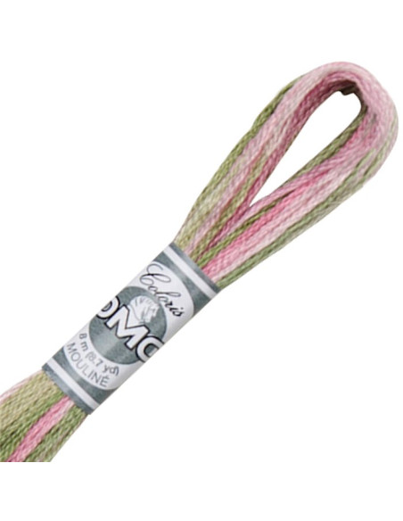 DMC Coloris Embroidery Thread