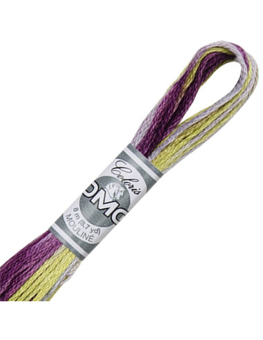 DMC Coloris Embroidery Thread