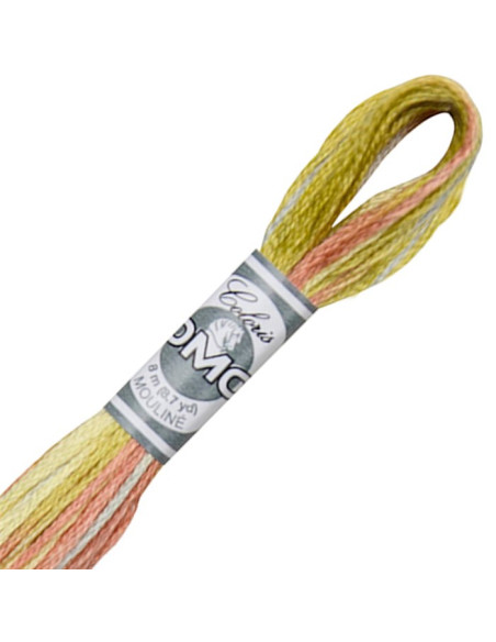 DMC Coloris Embroidery Thread