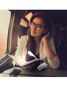 Daylight lamp with Smart Clip-on 2