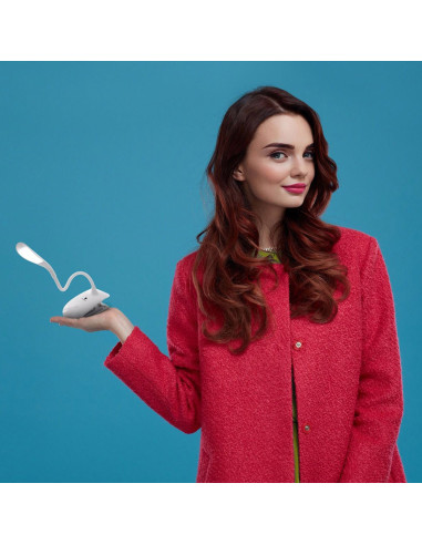 Daylight lamp with Smart Clip-on