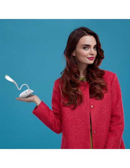 Daylight lamp with Smart Clip-on