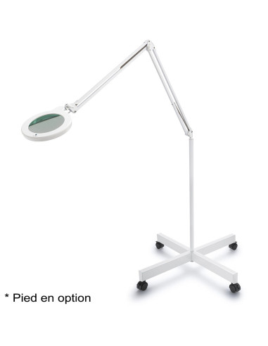 Daylight MAG S magnifying lamp