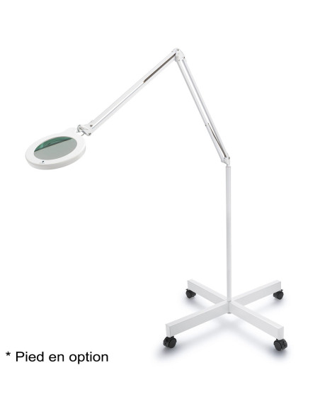 Daylight MAG S magnifying lamp
