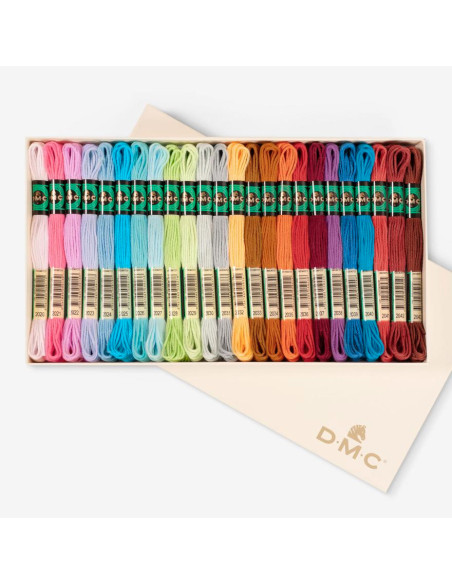 Box of 24 skeins of DMC matte twisted canvas thread