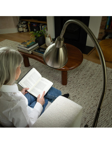 Daylight Flexivision 2 Floor Lamp