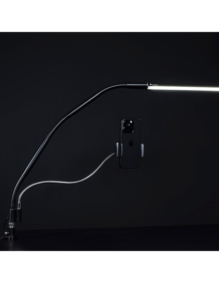 Daylight clip phone holder