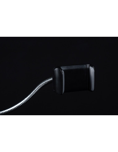 Daylight clip phone holder