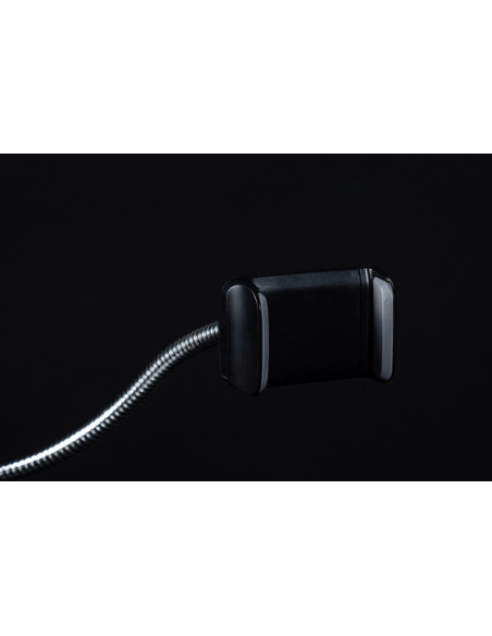 Daylight clip phone holder