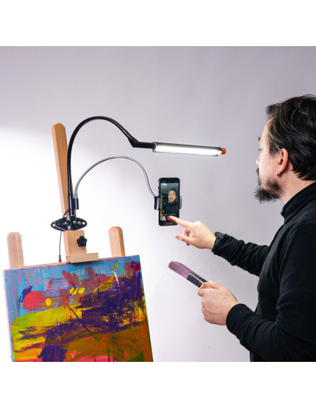 Daylight clip phone holder