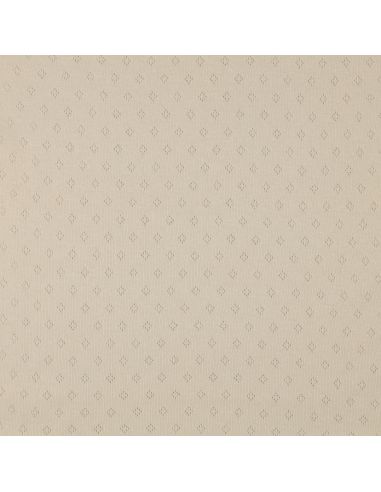 Pointelle knit jersey fabric - Beige