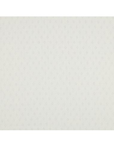 Pointelle knit jersey fabric - Ecru