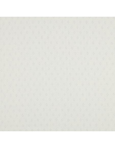 Pointelle knit jersey fabric - Ecru