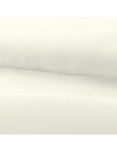 Organza fabric - Ecru