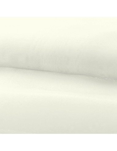 Organza fabric - Ecru