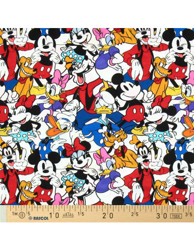 Disney jersey fabric - Mickey and his friends