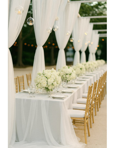 Organza fabric - Ecru