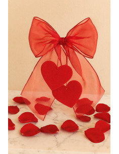Organza fabric - Red 2