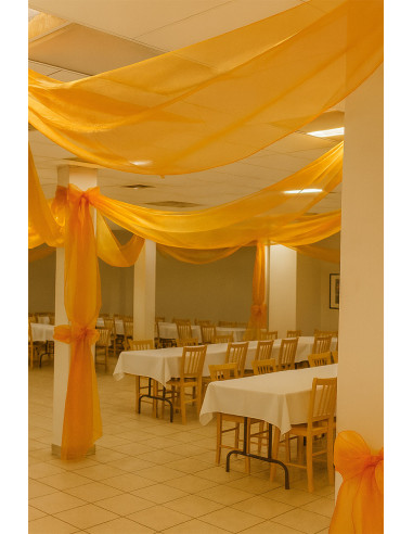 Organza fabric - Ochre